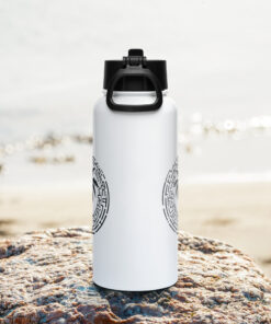 Stainless steel water bottle with a straw lid